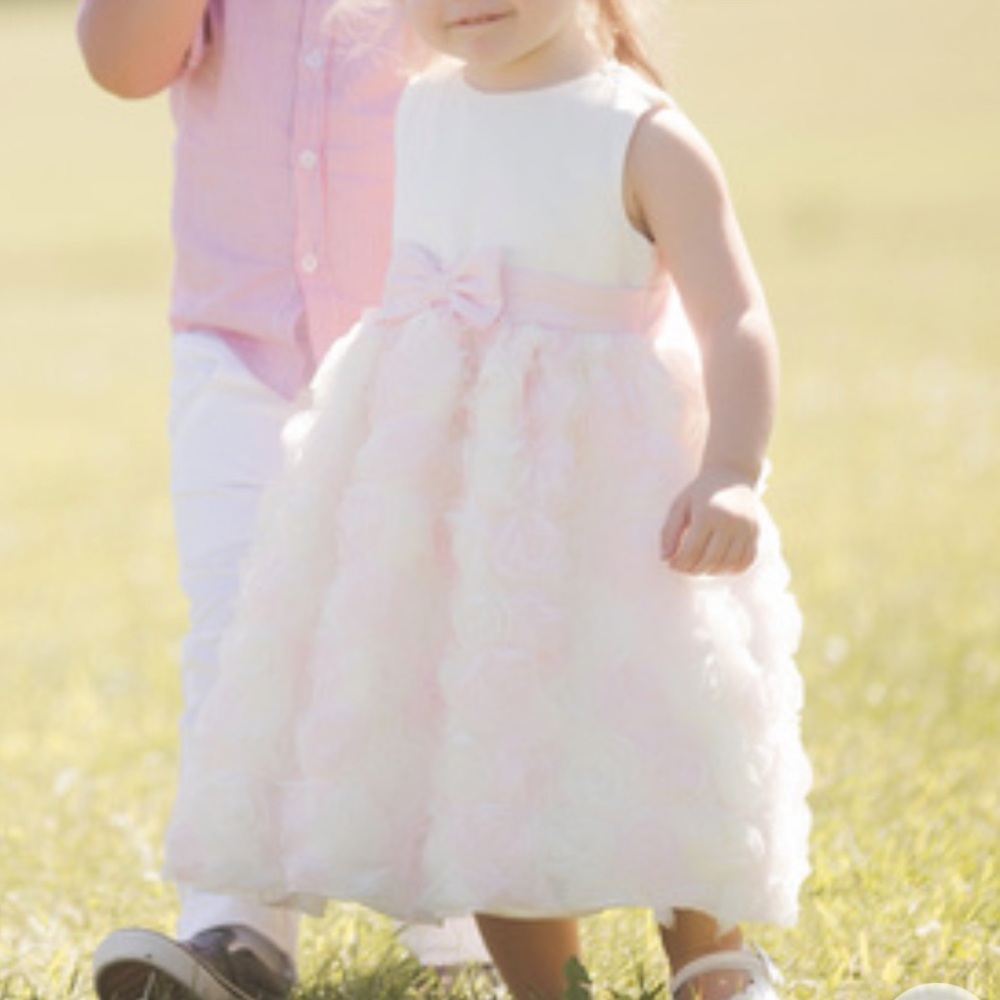 American Princess Flower Girl Ballgown Floral Wedding Dress Pink & White Roses 4